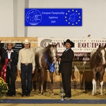2009 European reserve champion yearling colts open