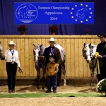 European championship 2010- Most Colorful at Halter-